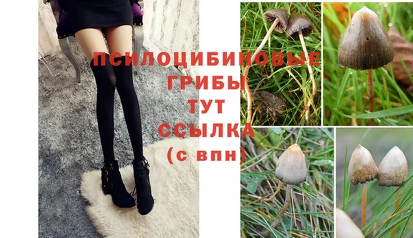 а пвп мука Алексеевка