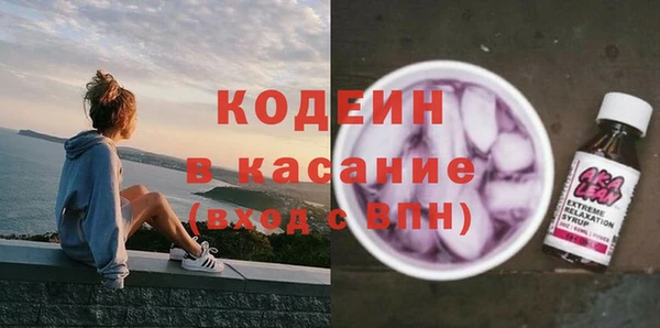 прущий лед Алзамай