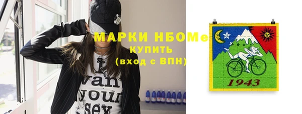 прущий лед Алзамай