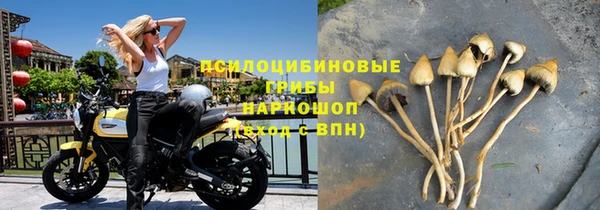 первитин Алексин
