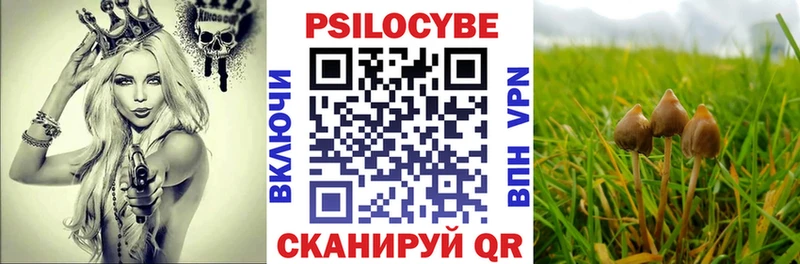 Галлюциногенные грибы Cubensis  Боровичи 